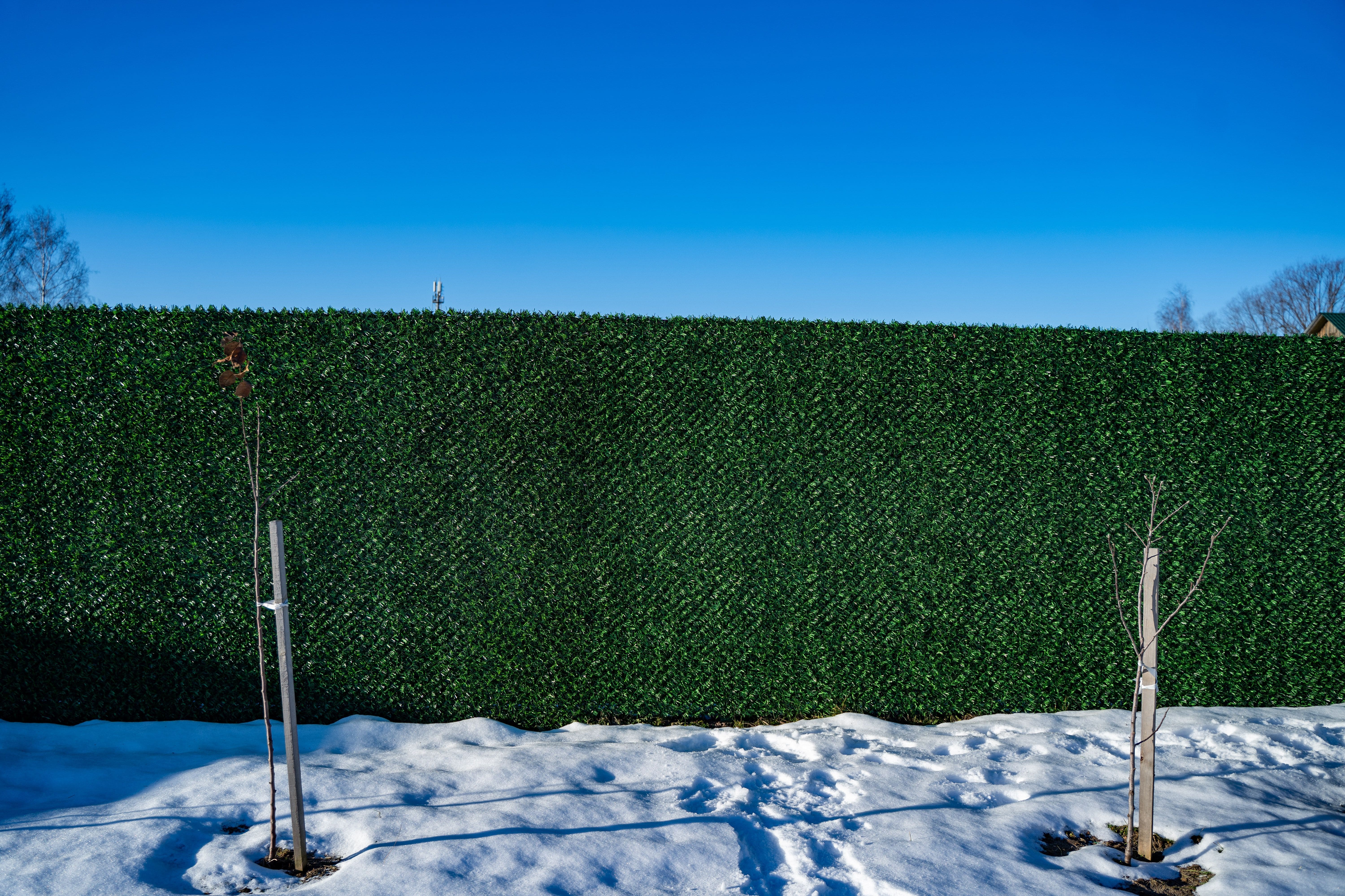Вечнозеленый забор Grass Fence рулон 2м фото 8 в Симферополе